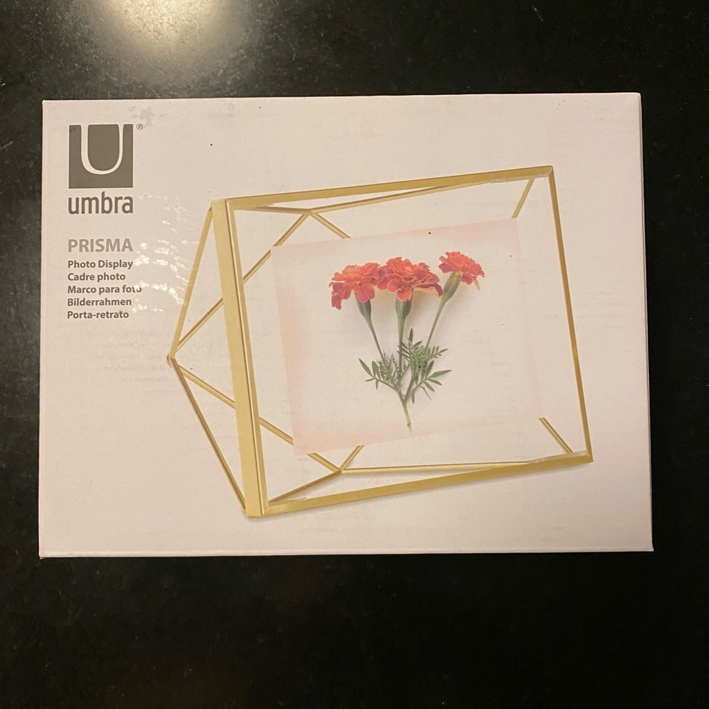 4 x 6 In Box Gold Umbra Frames